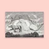 Extinct