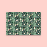 Banana Leaves