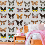 Shutterfly