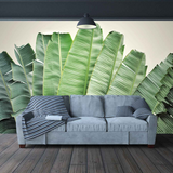 Tropical Fan
