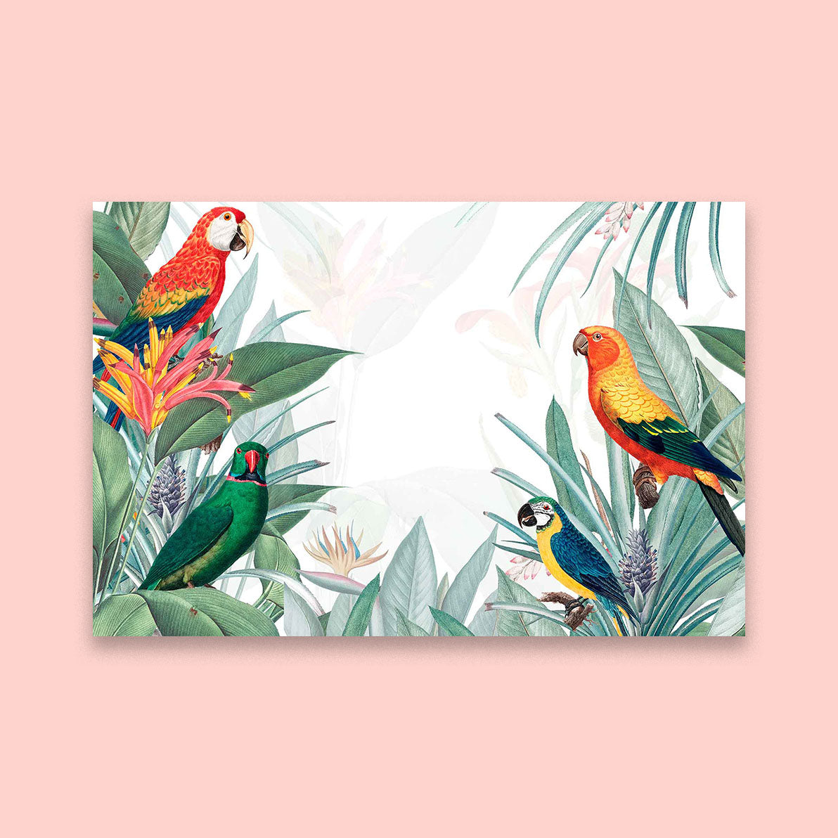 Parrot Parade