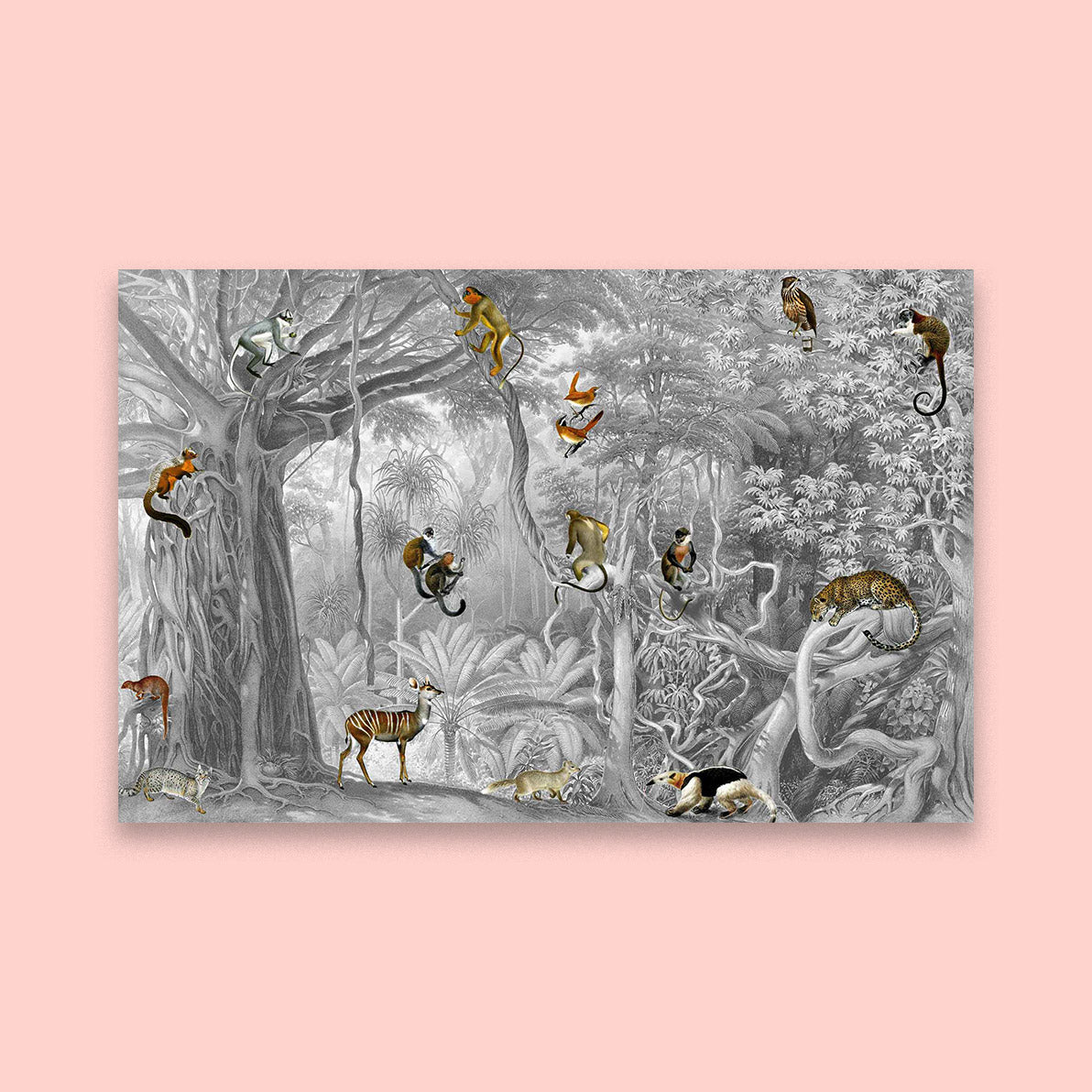 Natural World