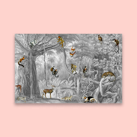 Natural World