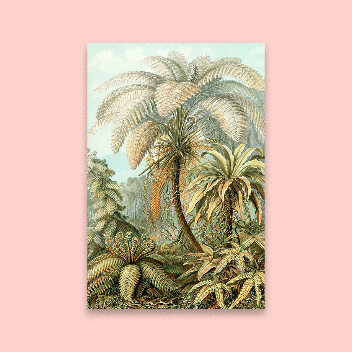 A Tropical Paradise