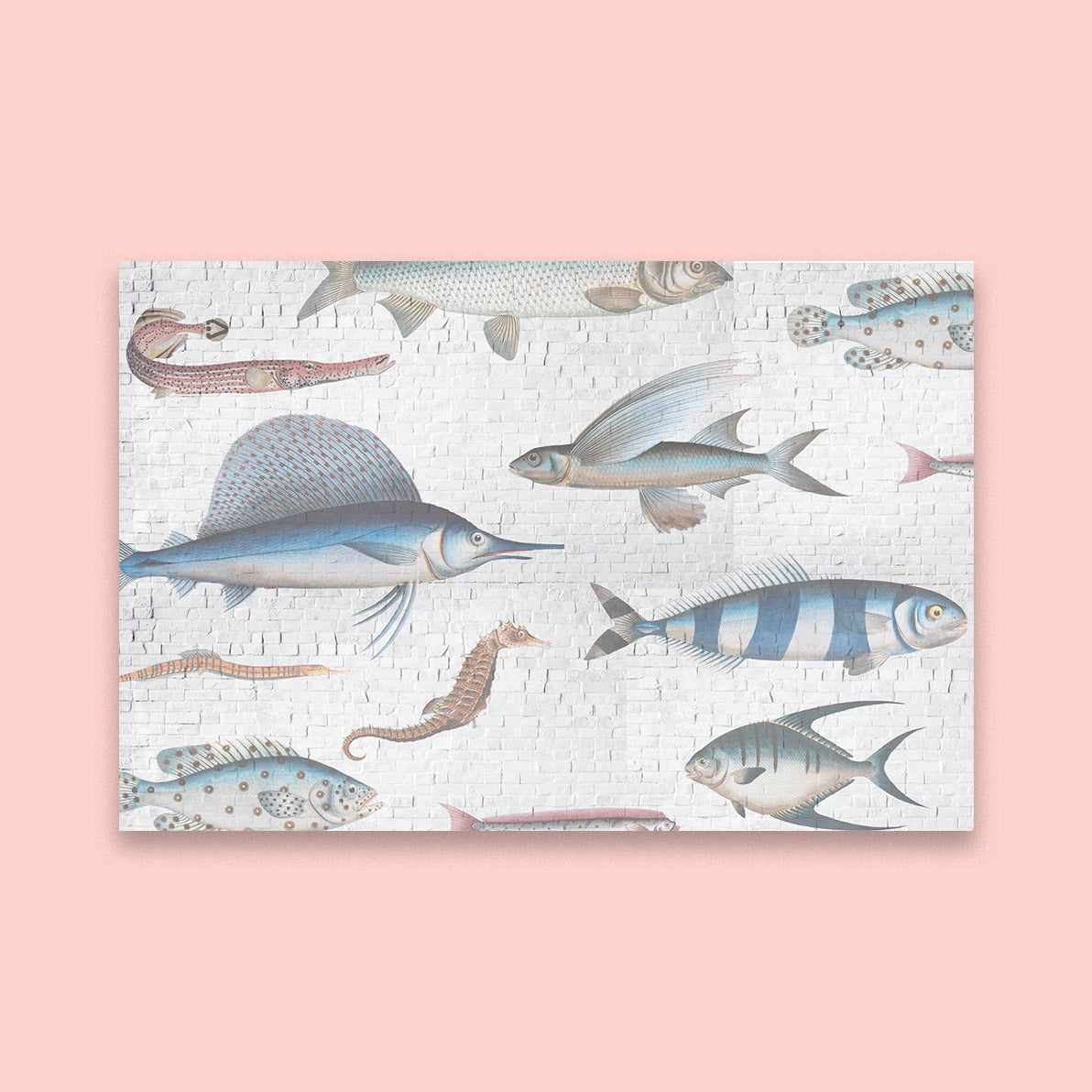 Swimming Upstream