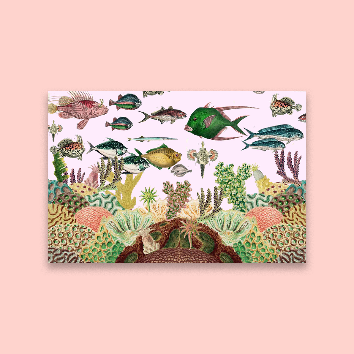 Abundant Oceans