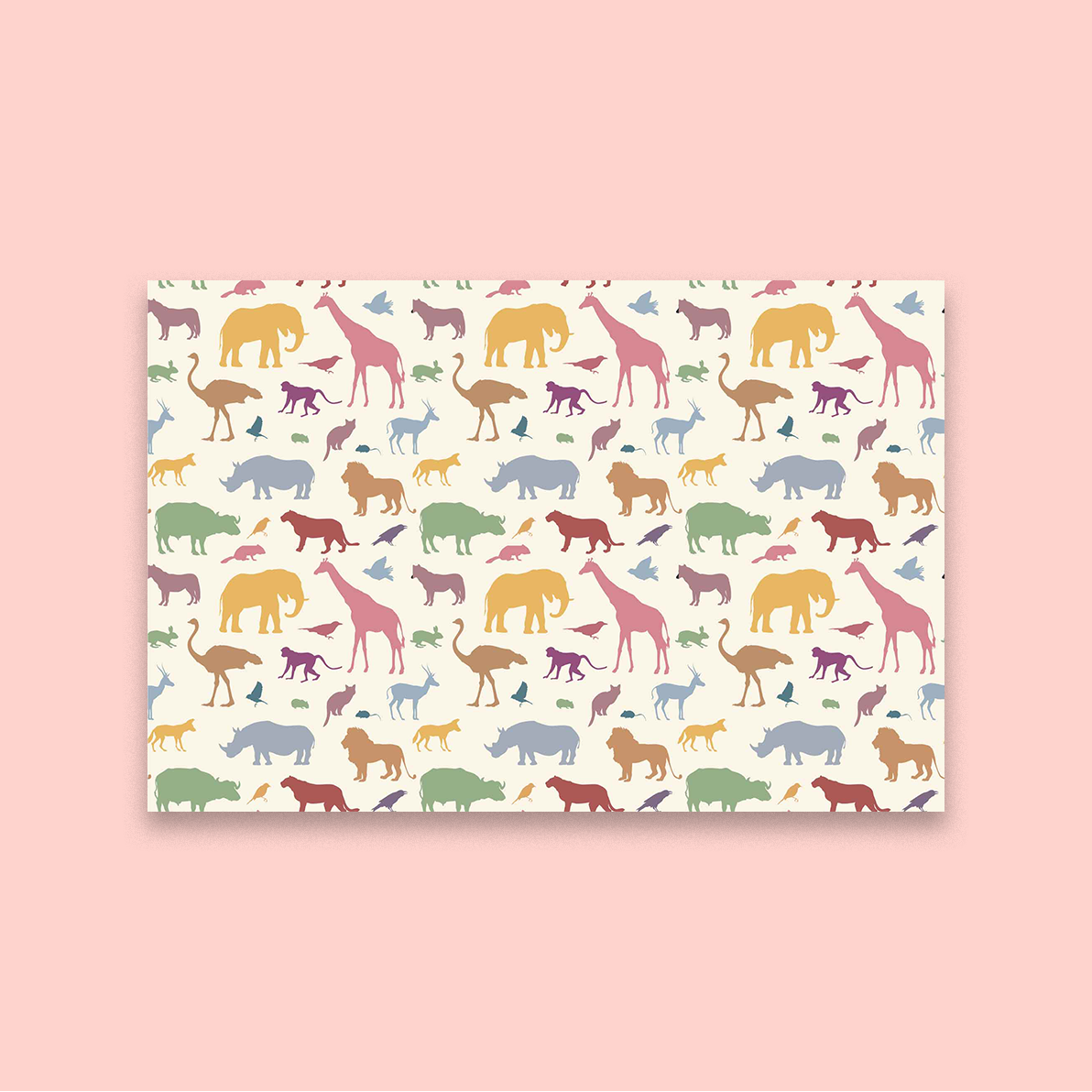 Animal Fun