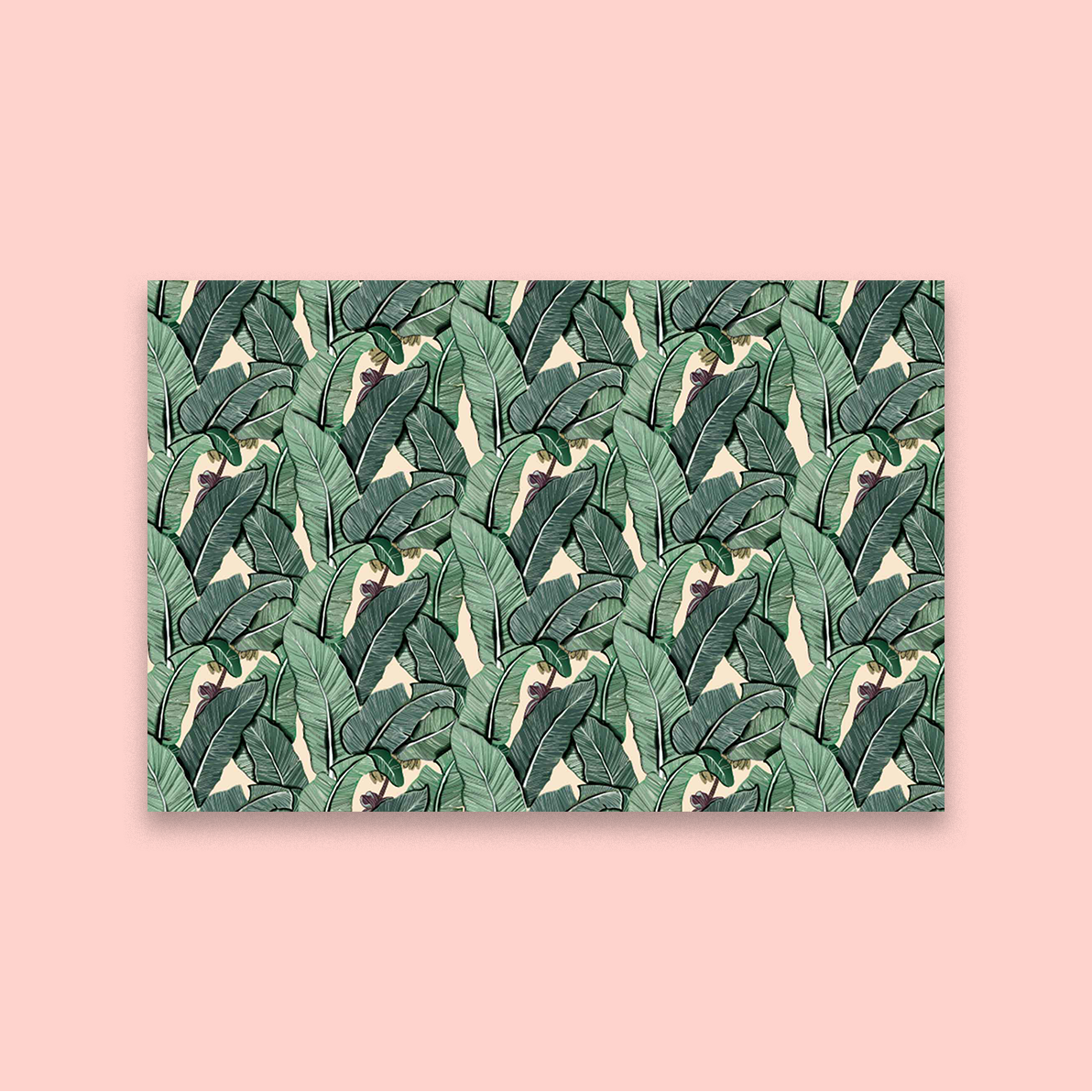 Banana Leaves