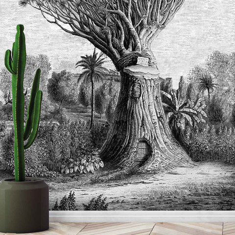 Baobab