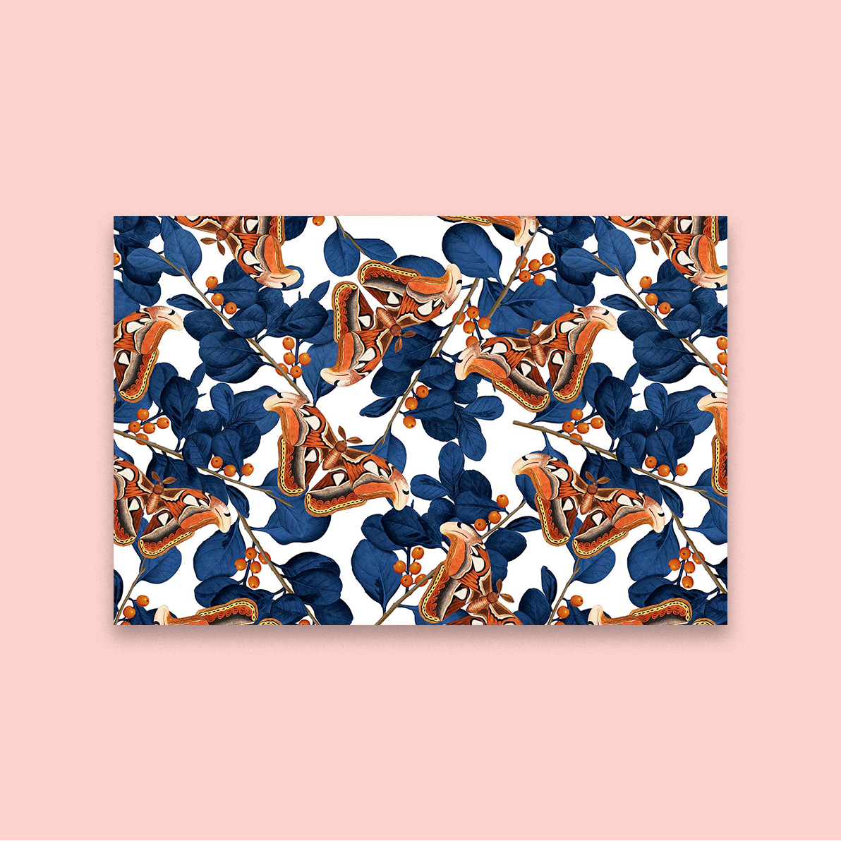 Berries and Butterflies