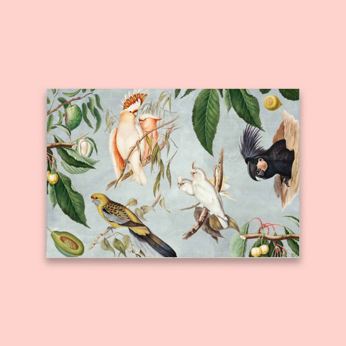 Birds and Fruit