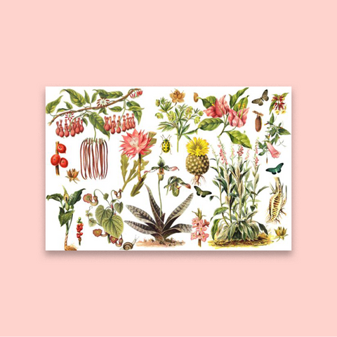 Botanical Bugs