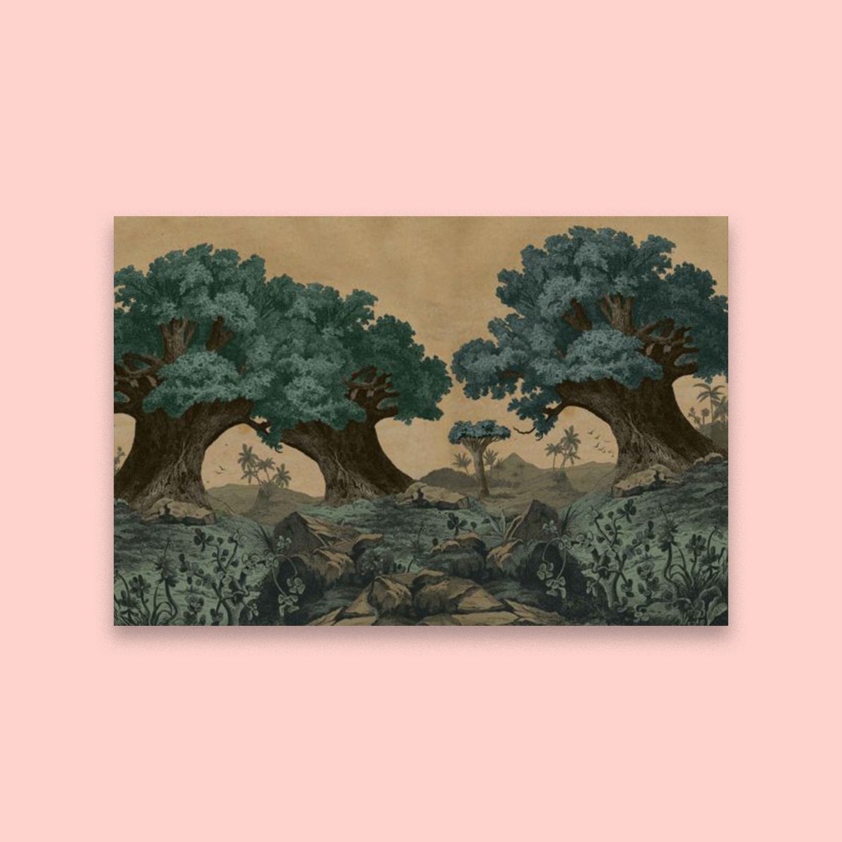 Branching Out