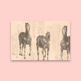 Bronco (Sepia)