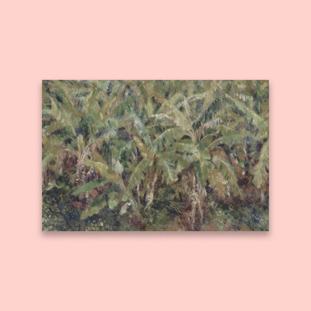 Brushes With Palms