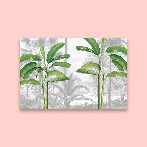 Cara Palms