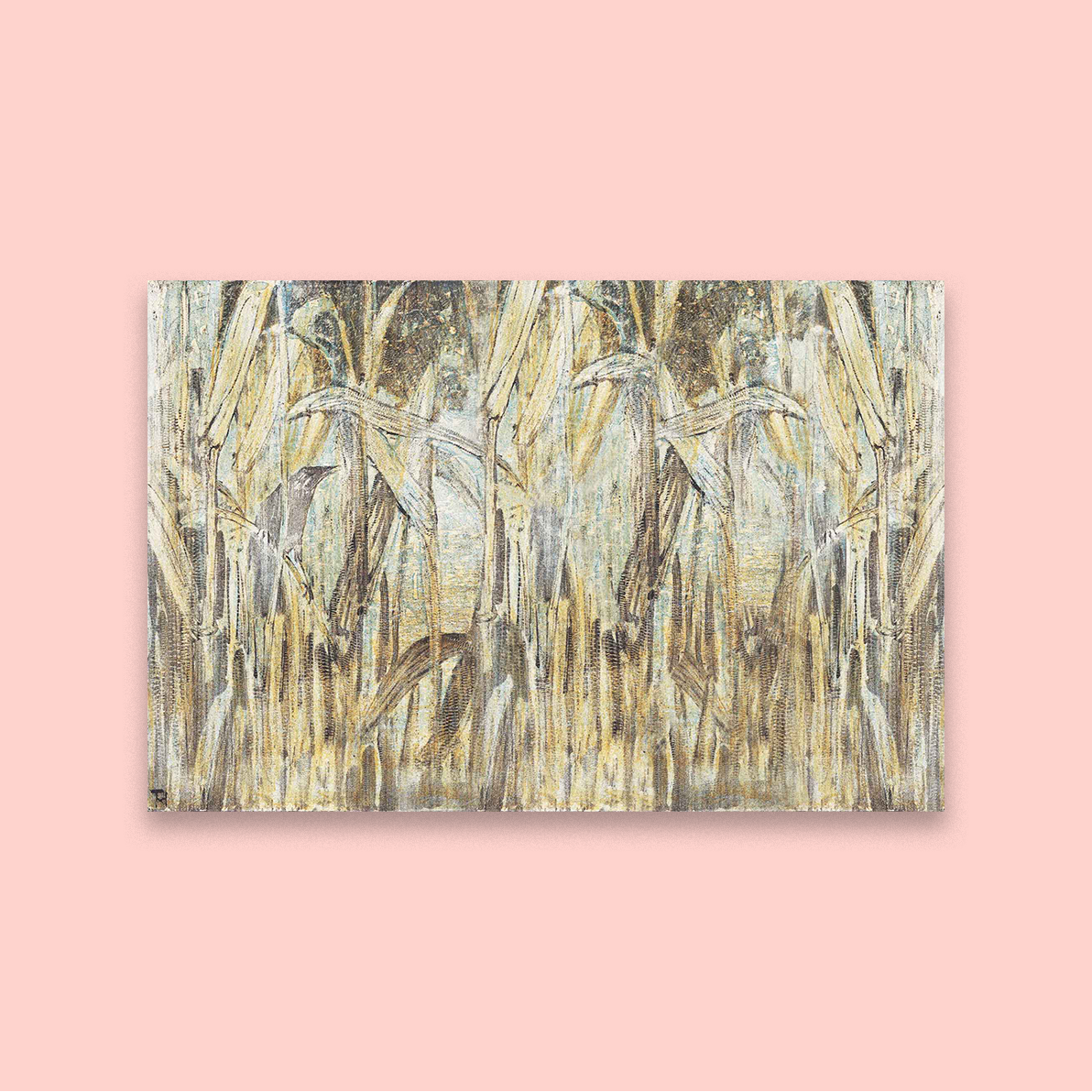 Corn Fields