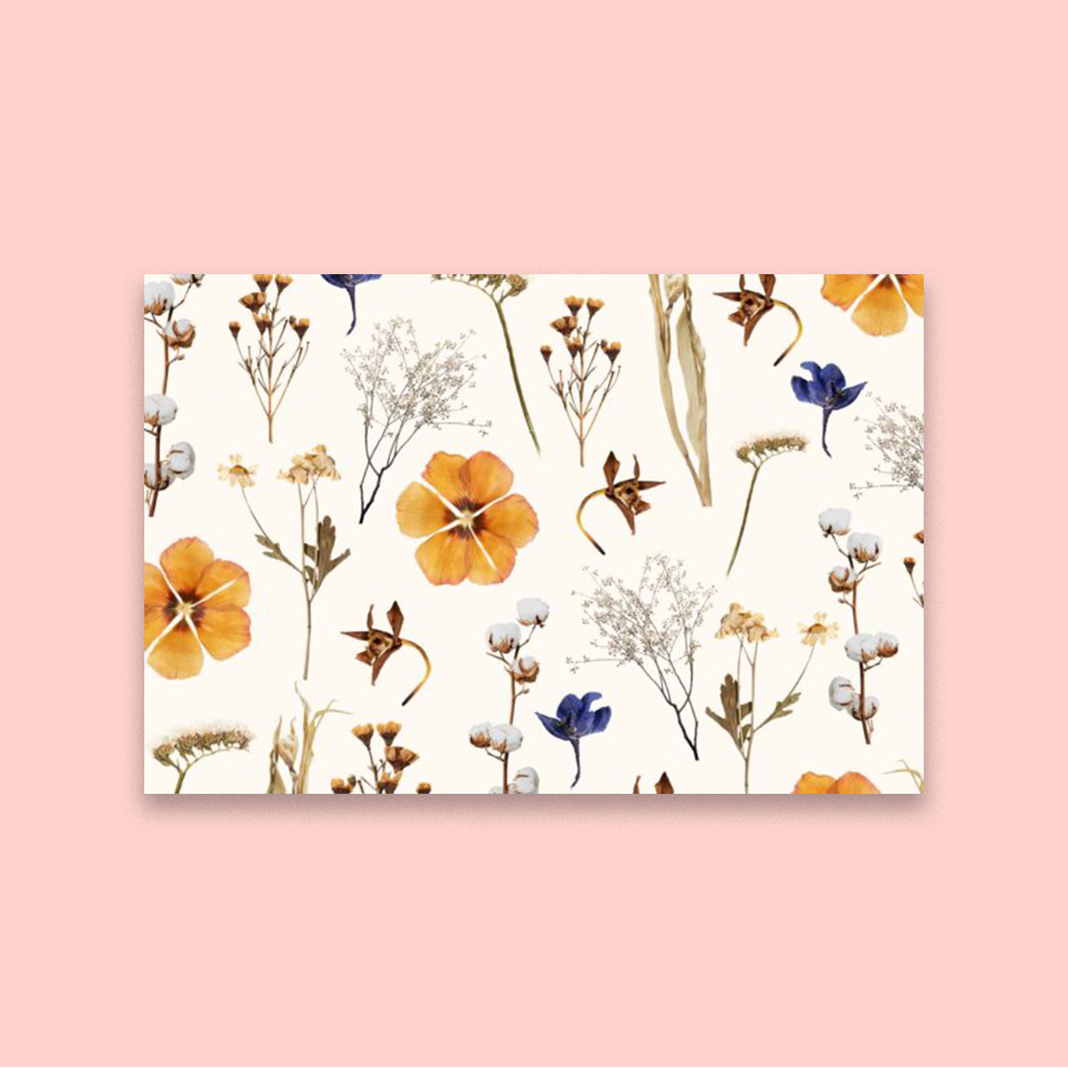 Dried Flowers