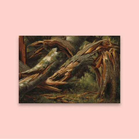Fallen Tree