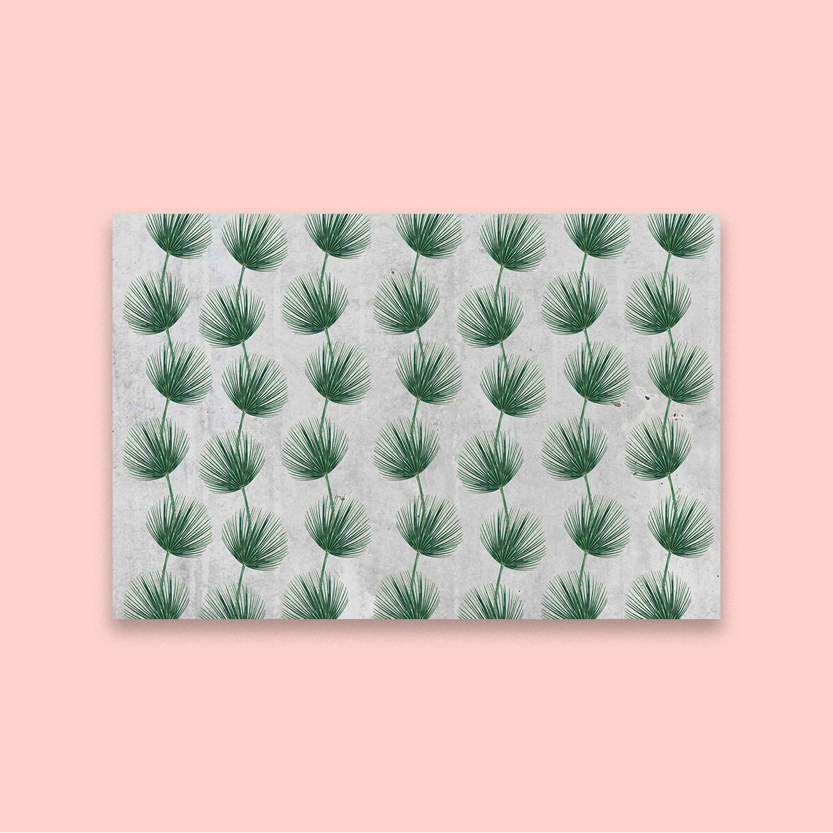 Fern Fest