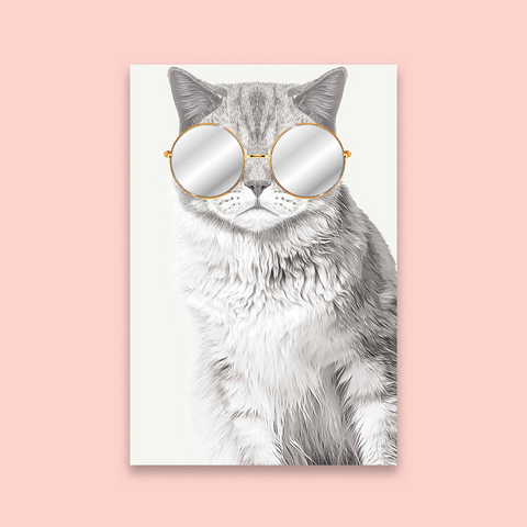 Here Kitty Kitty
