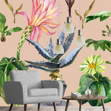 House Plants