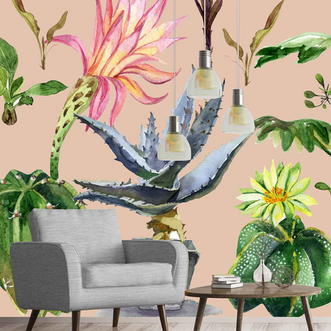 House Plants