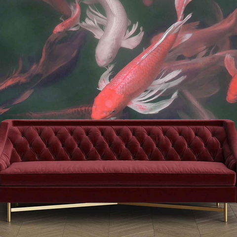 Koi Pond