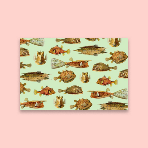 Life Aquatic