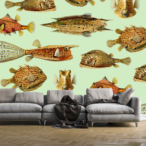 Life Aquatic