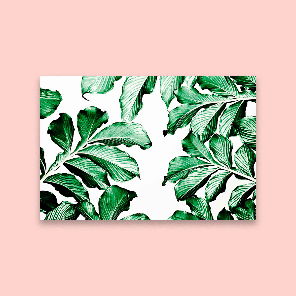 Mother Nature