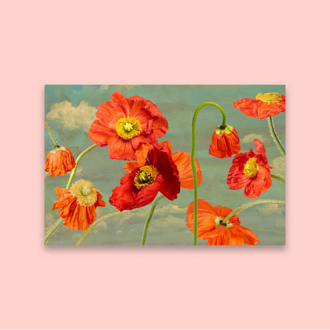 Poppy Skies