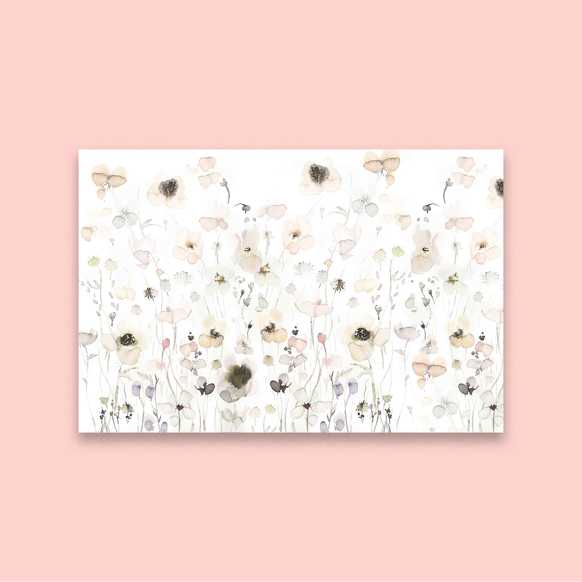 Seeds Of Hope