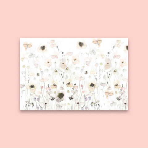 Seeds of Hope