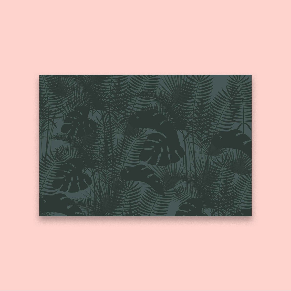 Shadow Fern