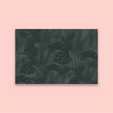 Shadow Fern