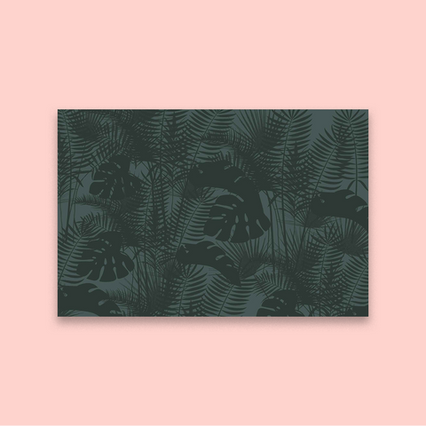 Shadow Fern