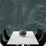 Shadow Fern