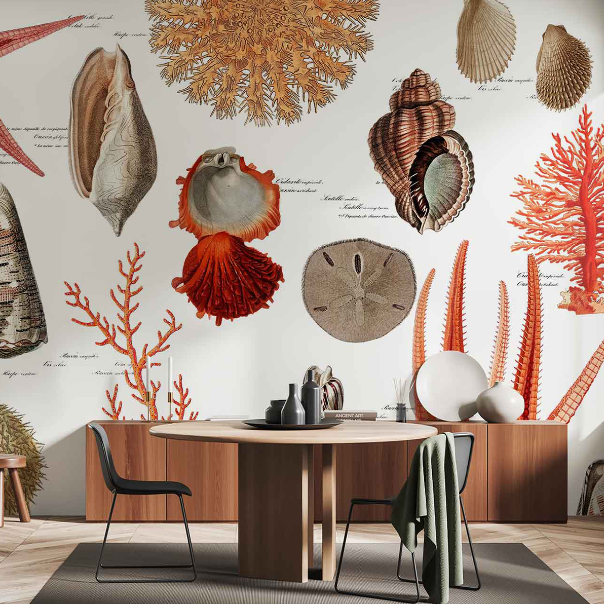 Shell Collector