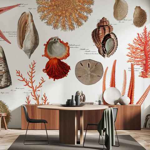 Shell Collector