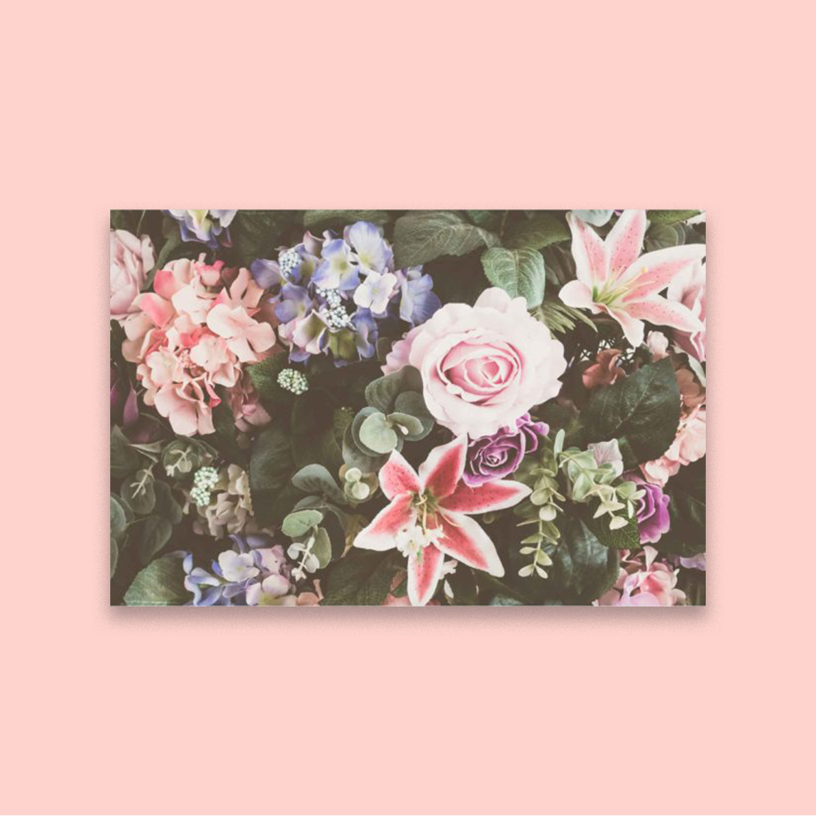 Spring Fever