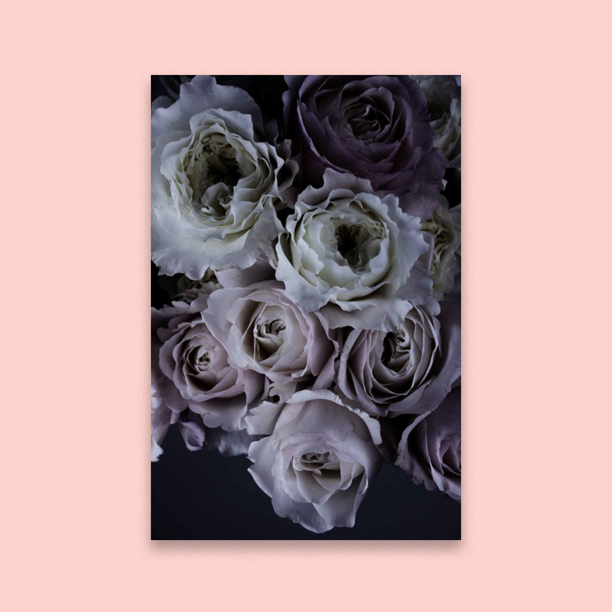 The Language of Flowers
