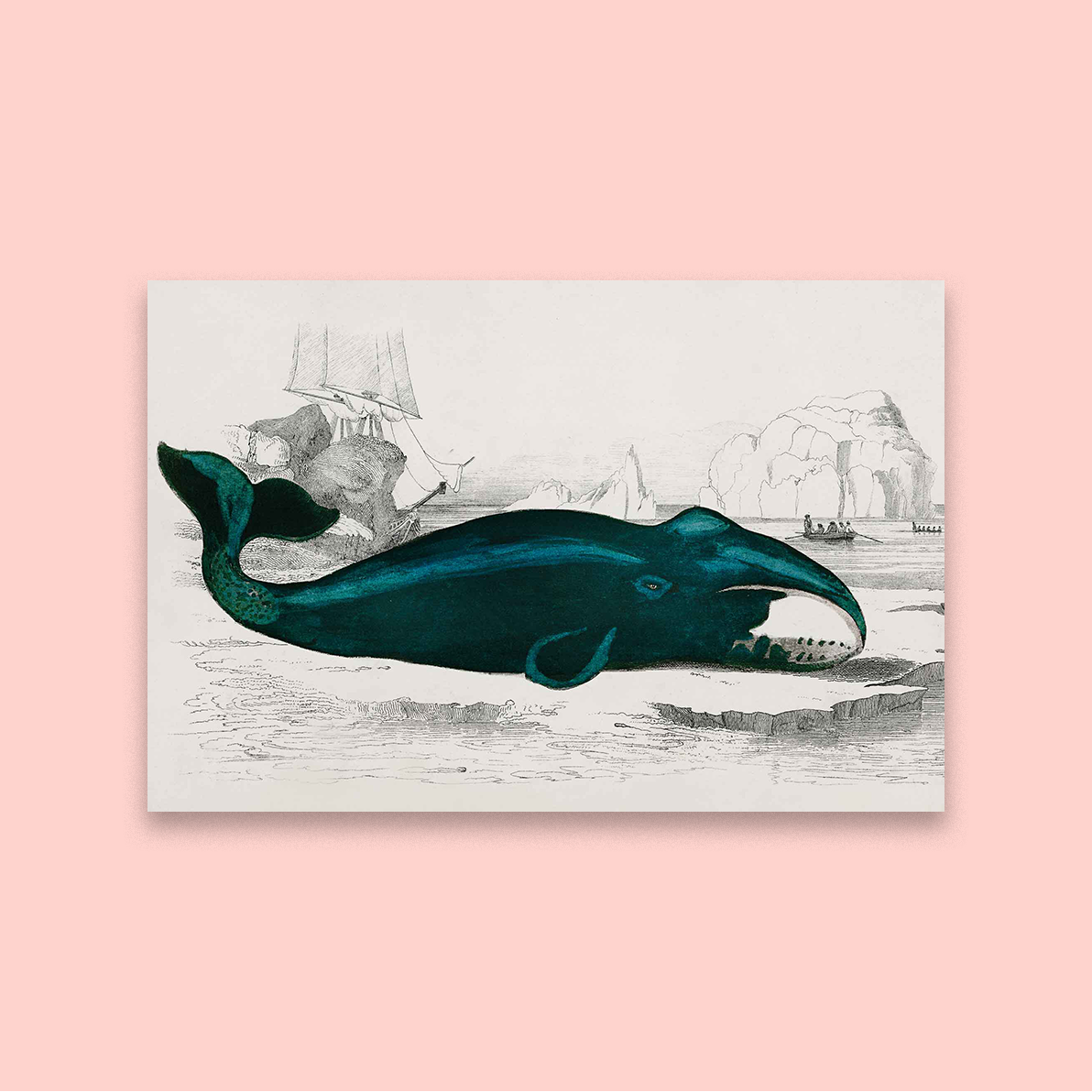 Whale of a Time