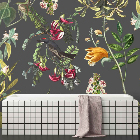 World of Birds